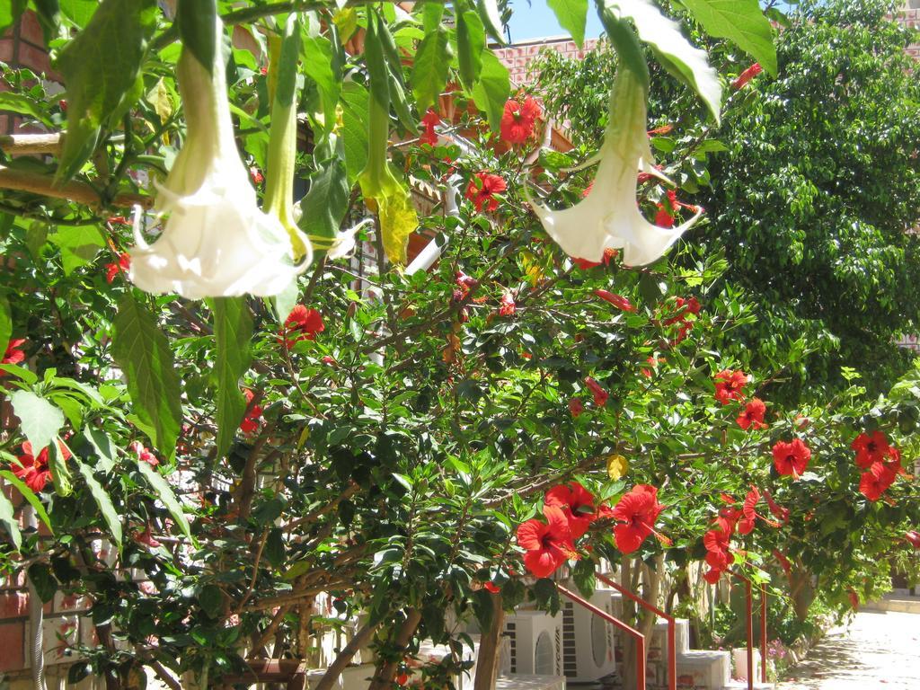 Anfora Apart Pansiyon Erdemli 外观 照片