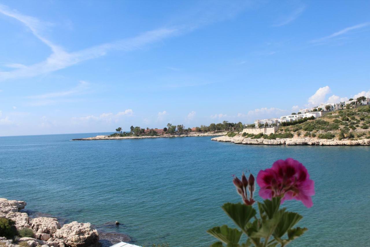 Anfora Apart Pansiyon Erdemli 外观 照片